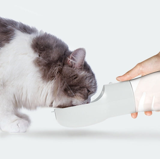 Traveling Out Portable Pet Water/Food Dispenser
